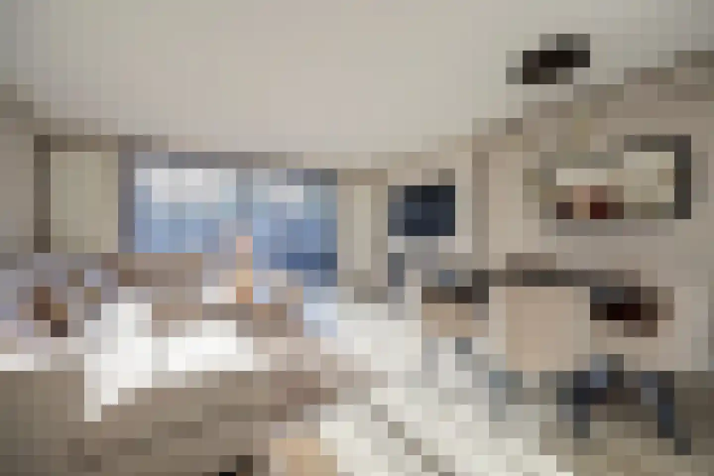 Gangesstraat 26 Spijkenisse thumbnail 4