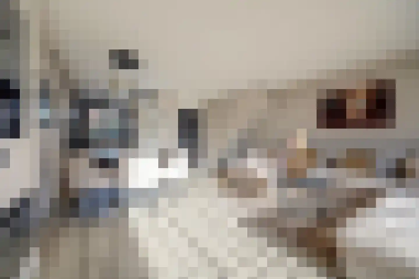 Gangesstraat 26 Spijkenisse thumbnail 6
