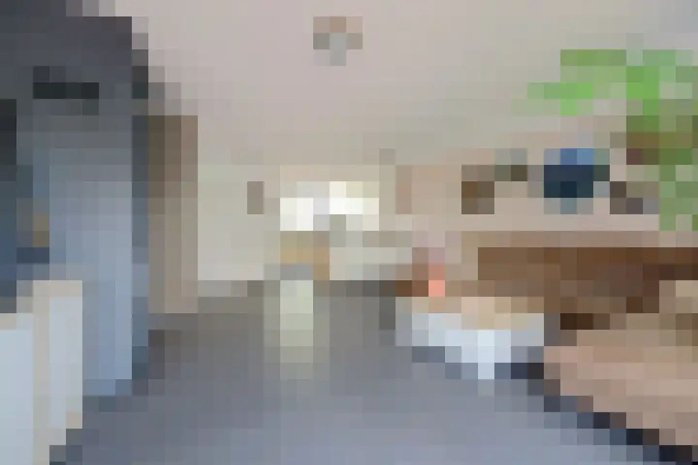 Gangesstraat 38 Spijkenisse thumbnail 10