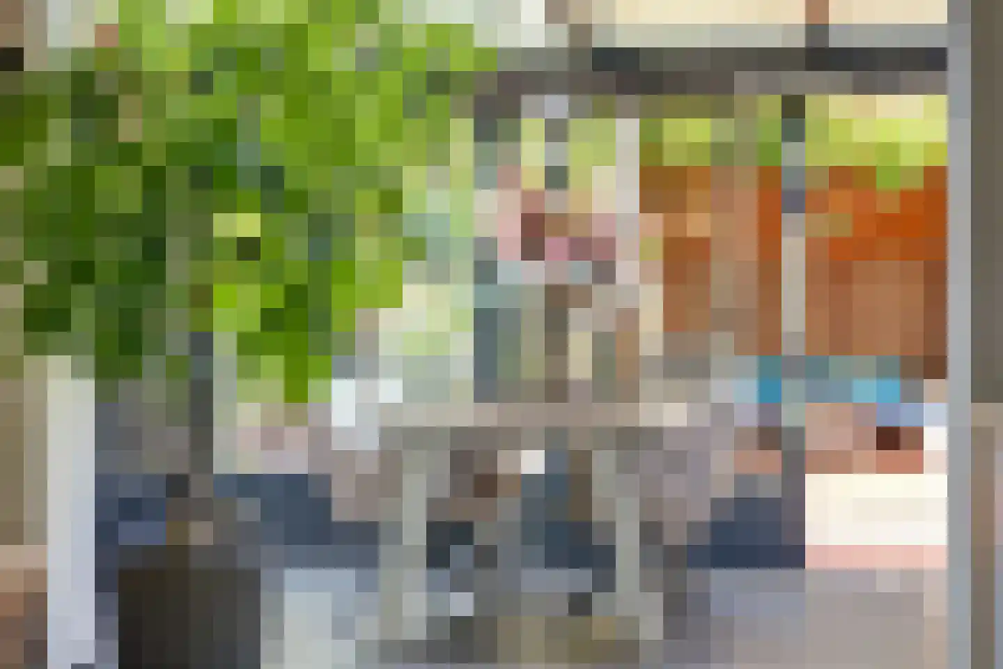 Gangesstraat 38 Spijkenisse thumbnail 13