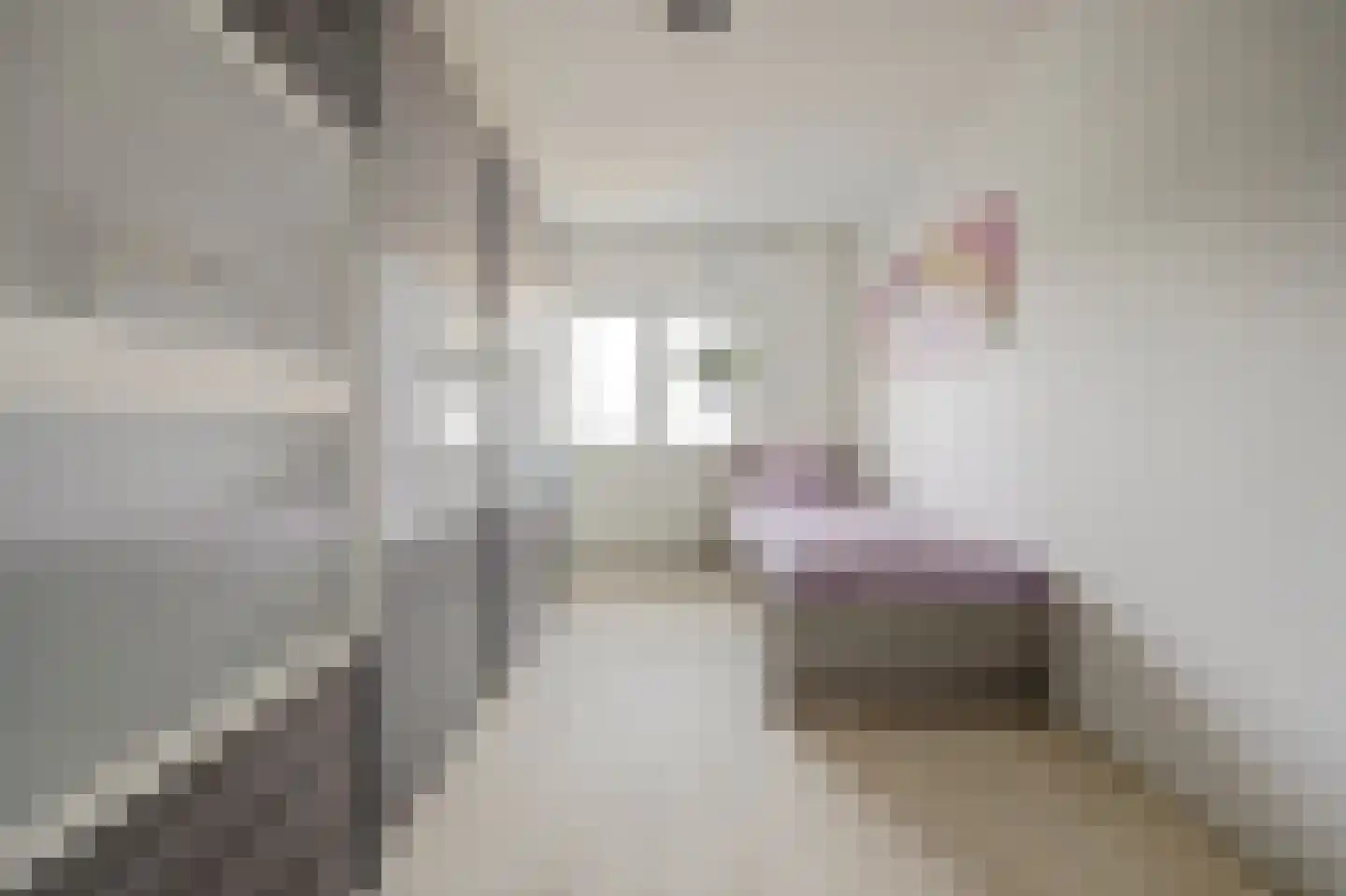 Gangesstraat 38 Spijkenisse thumbnail 18