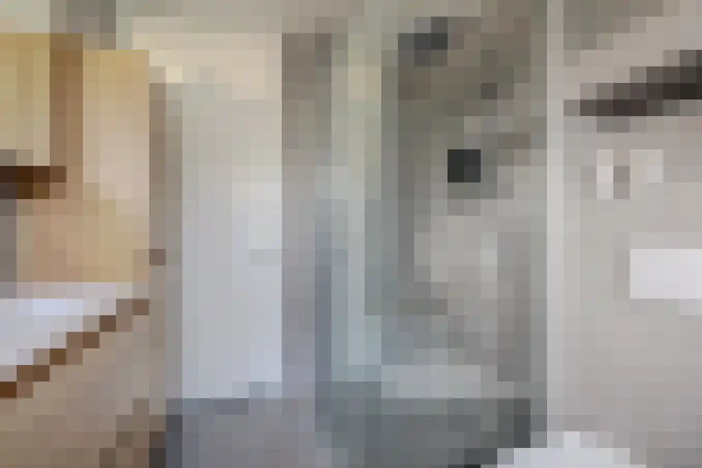 Gangesstraat 38 Spijkenisse thumbnail 24