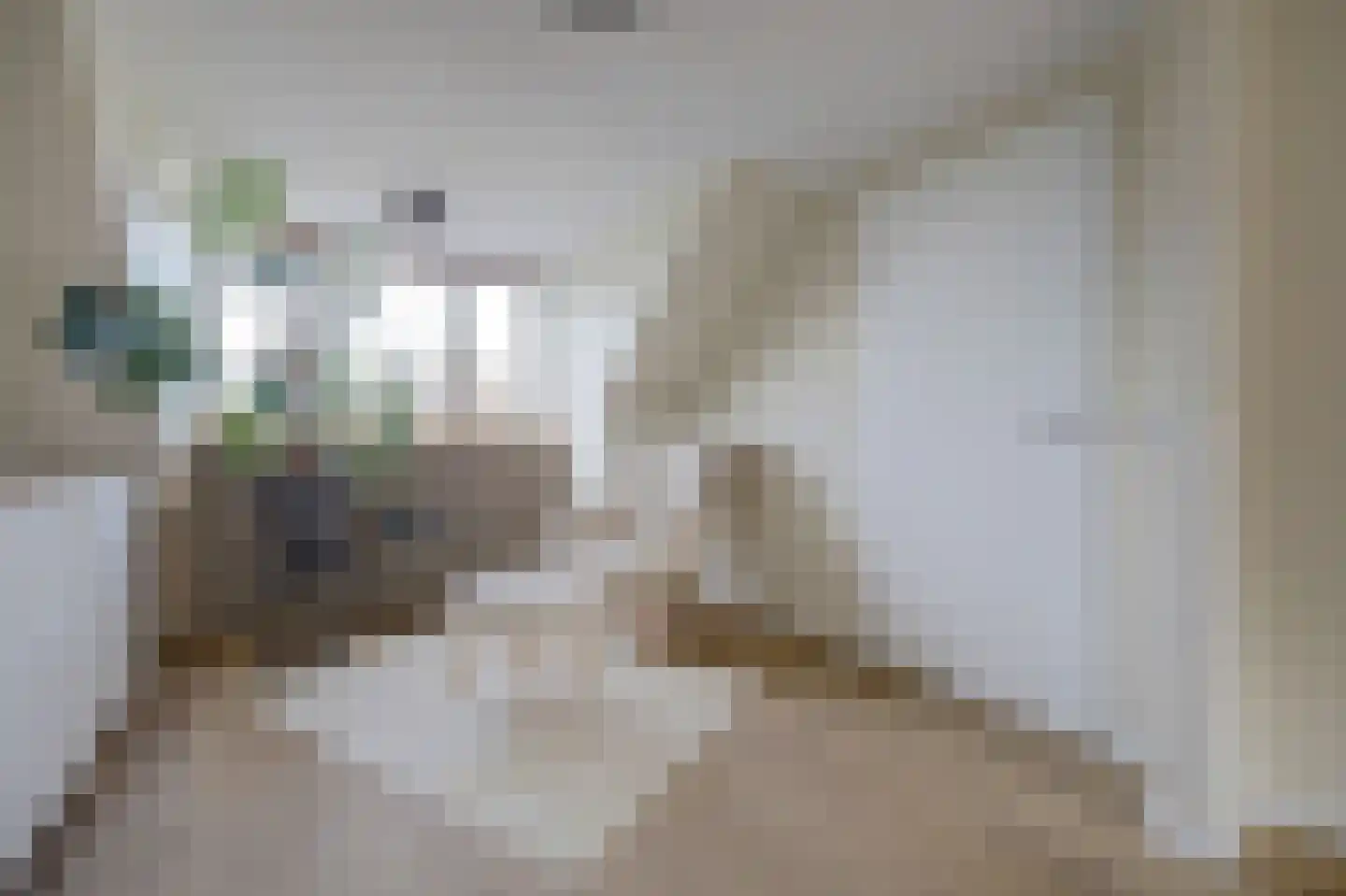 Gangesstraat 38 Spijkenisse thumbnail 28