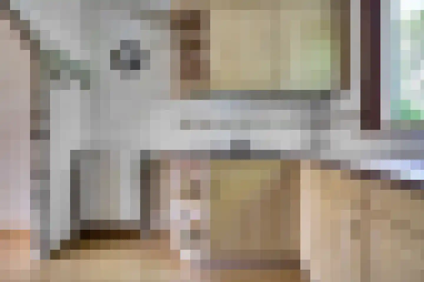 Gangesstraat 60 Spijkenisse thumbnail 11