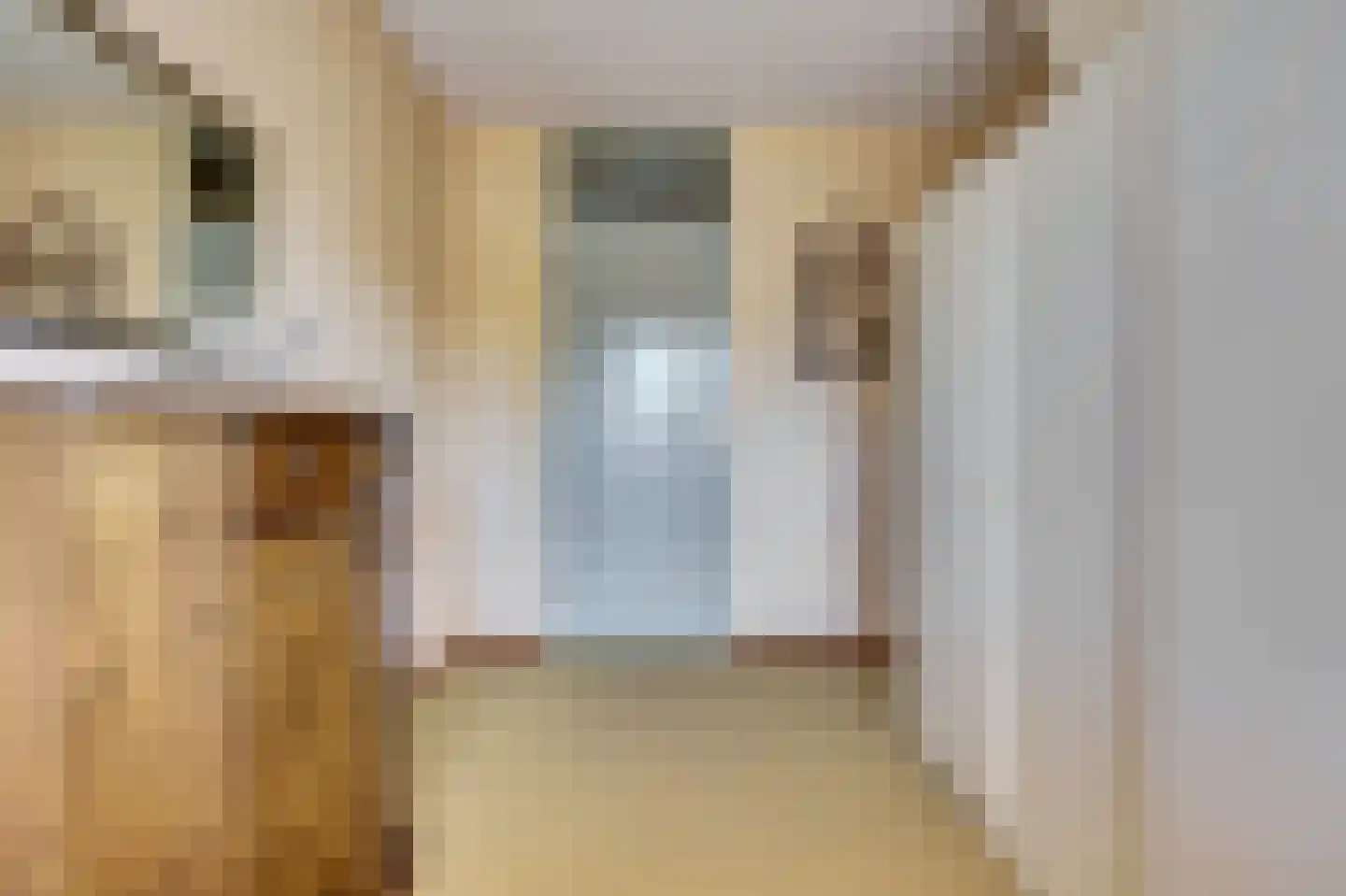 Gangesstraat 60 Spijkenisse thumbnail 27