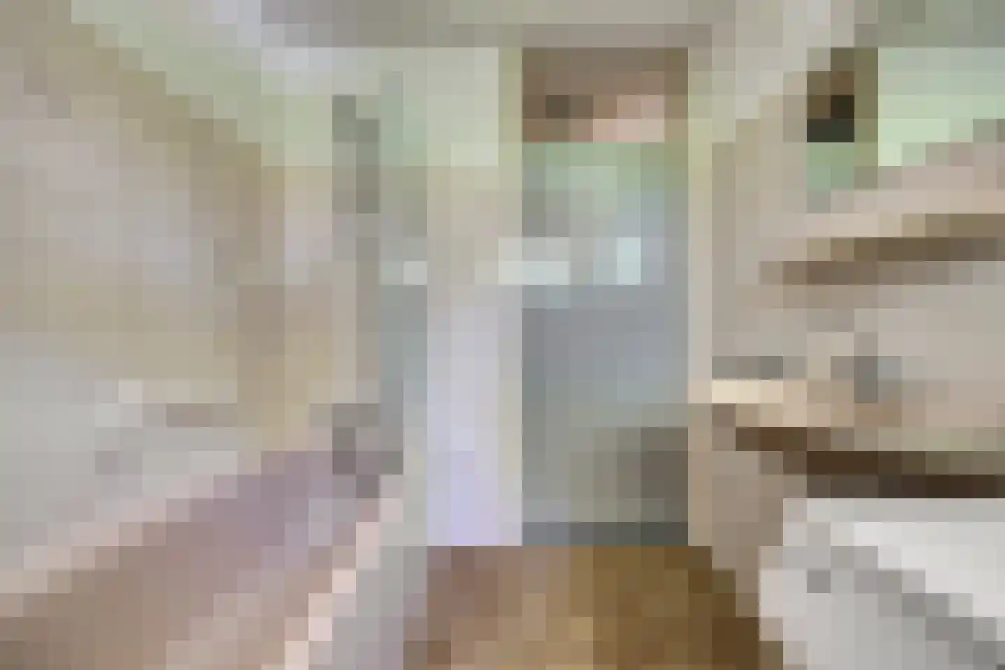 Gangesstraat 60 Spijkenisse thumbnail 30
