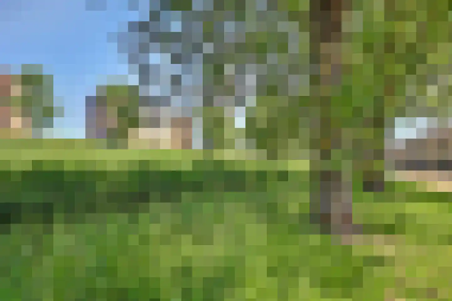 Gangesstraat 60 Spijkenisse thumbnail 38