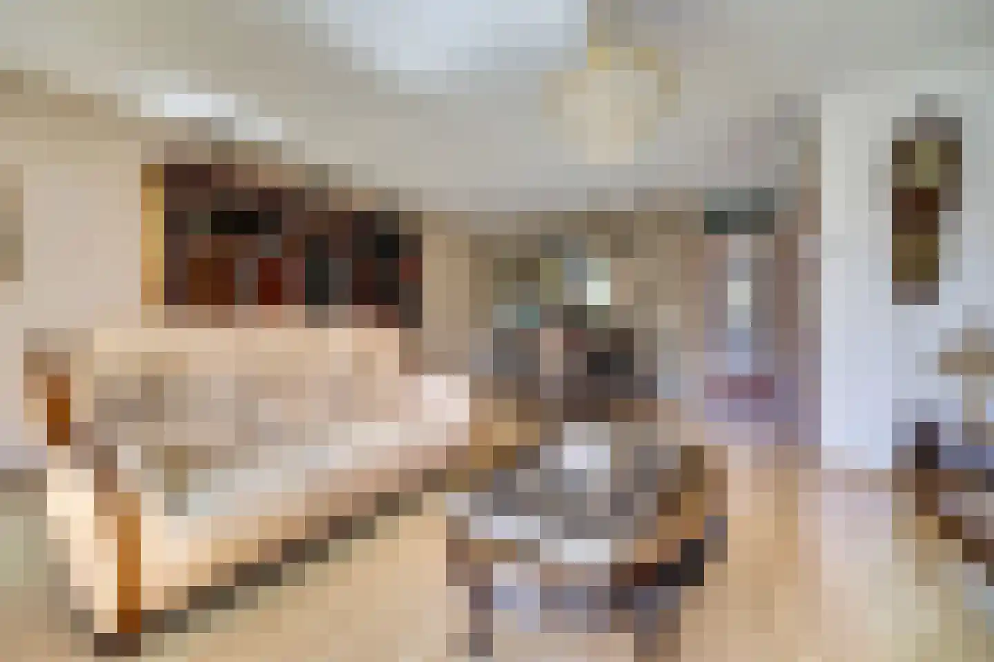 Gangesstraat 60 Spijkenisse thumbnail 6