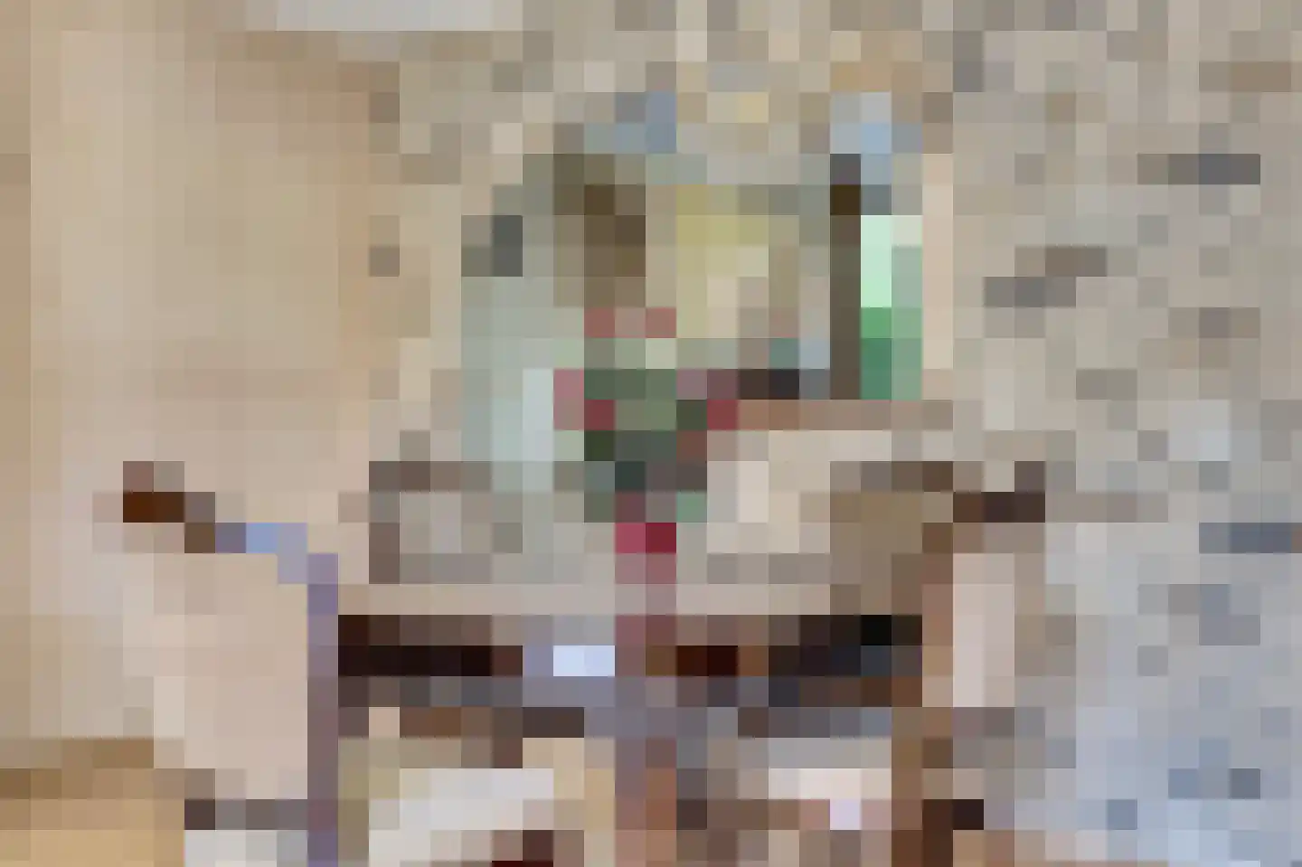 Gangesstraat 60 Spijkenisse thumbnail 8