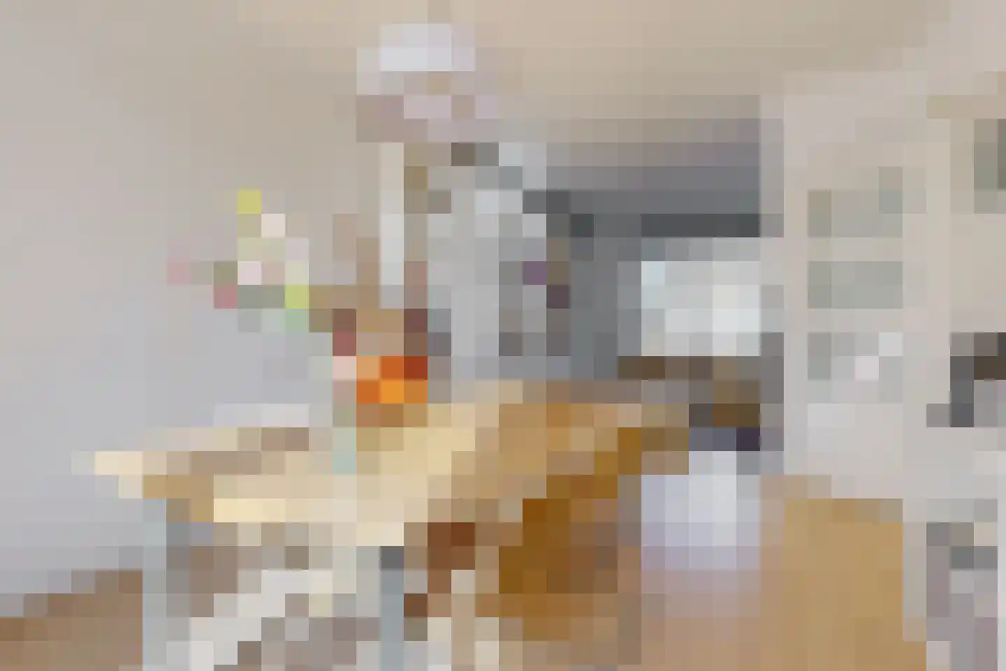 Gangetje 4 A Leiden thumbnail 17