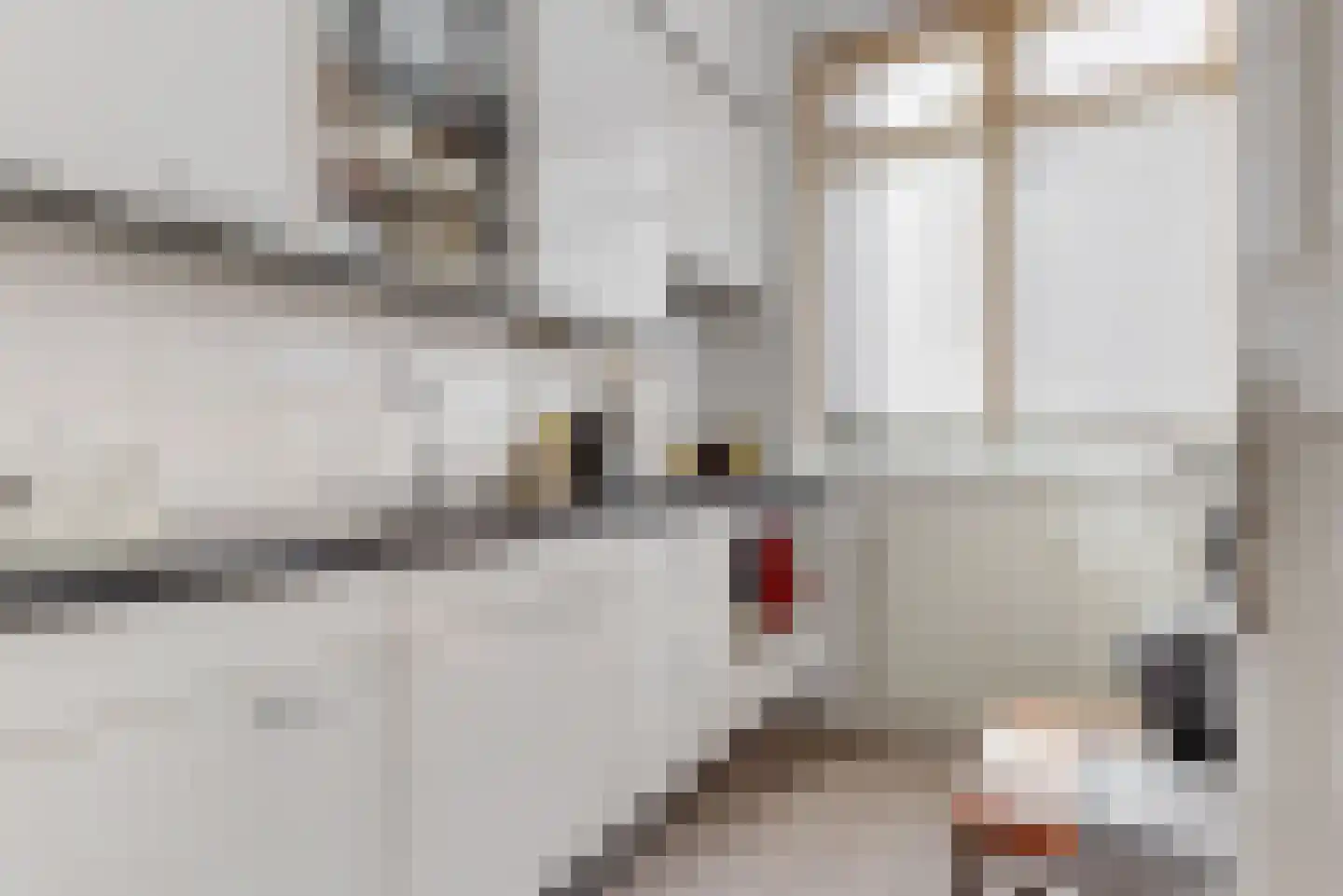 Gangetje 4 A Leiden thumbnail 18
