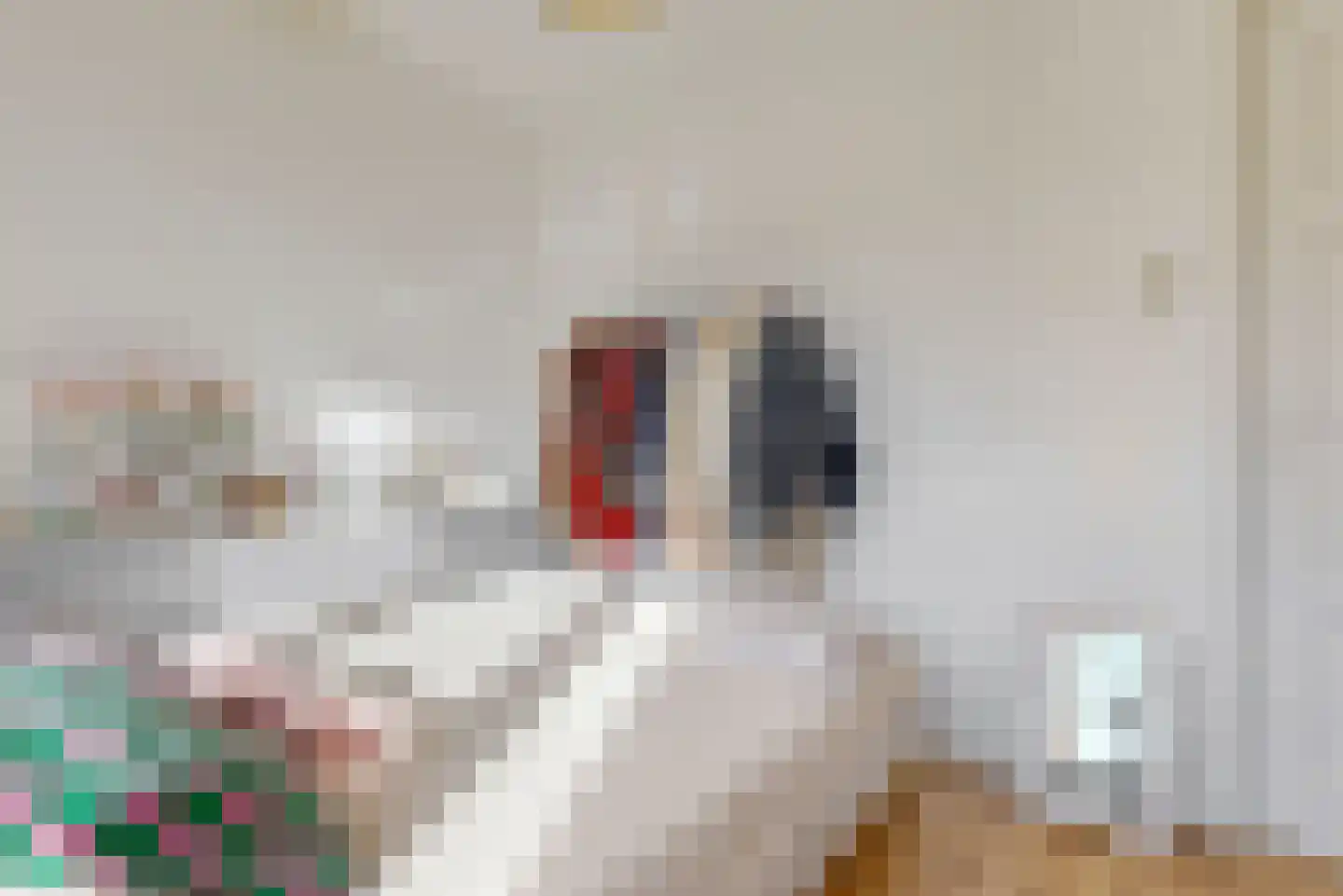Gangetje 4 A Leiden thumbnail 29