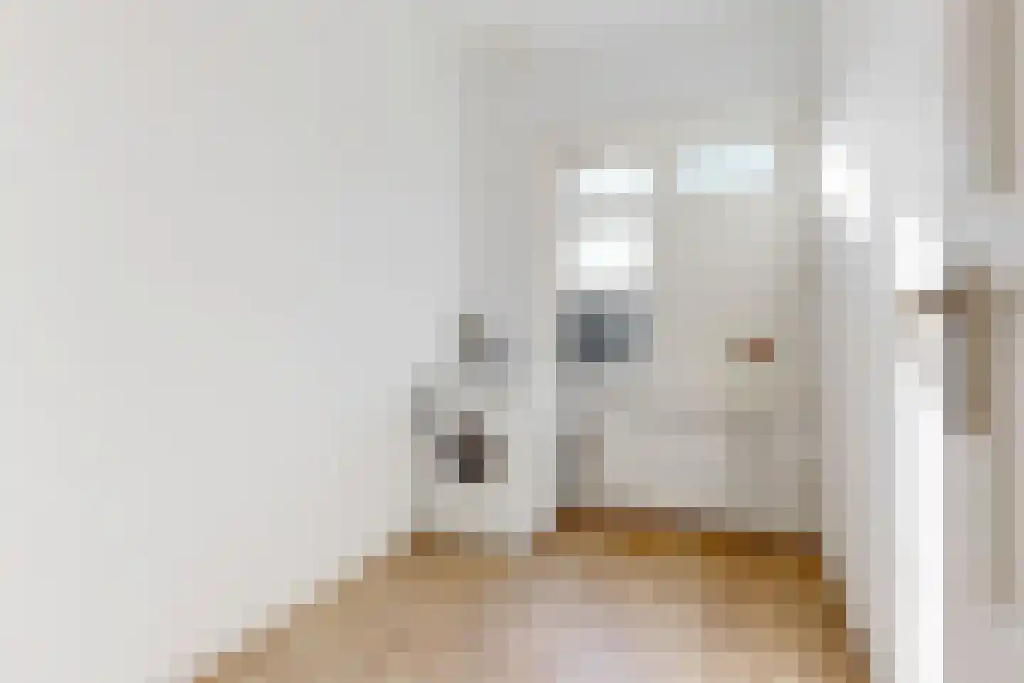Gangetje 4 A Leiden thumbnail 31