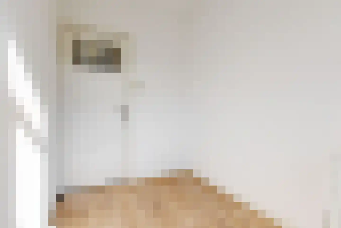 Gangetje 4 A Leiden thumbnail 32
