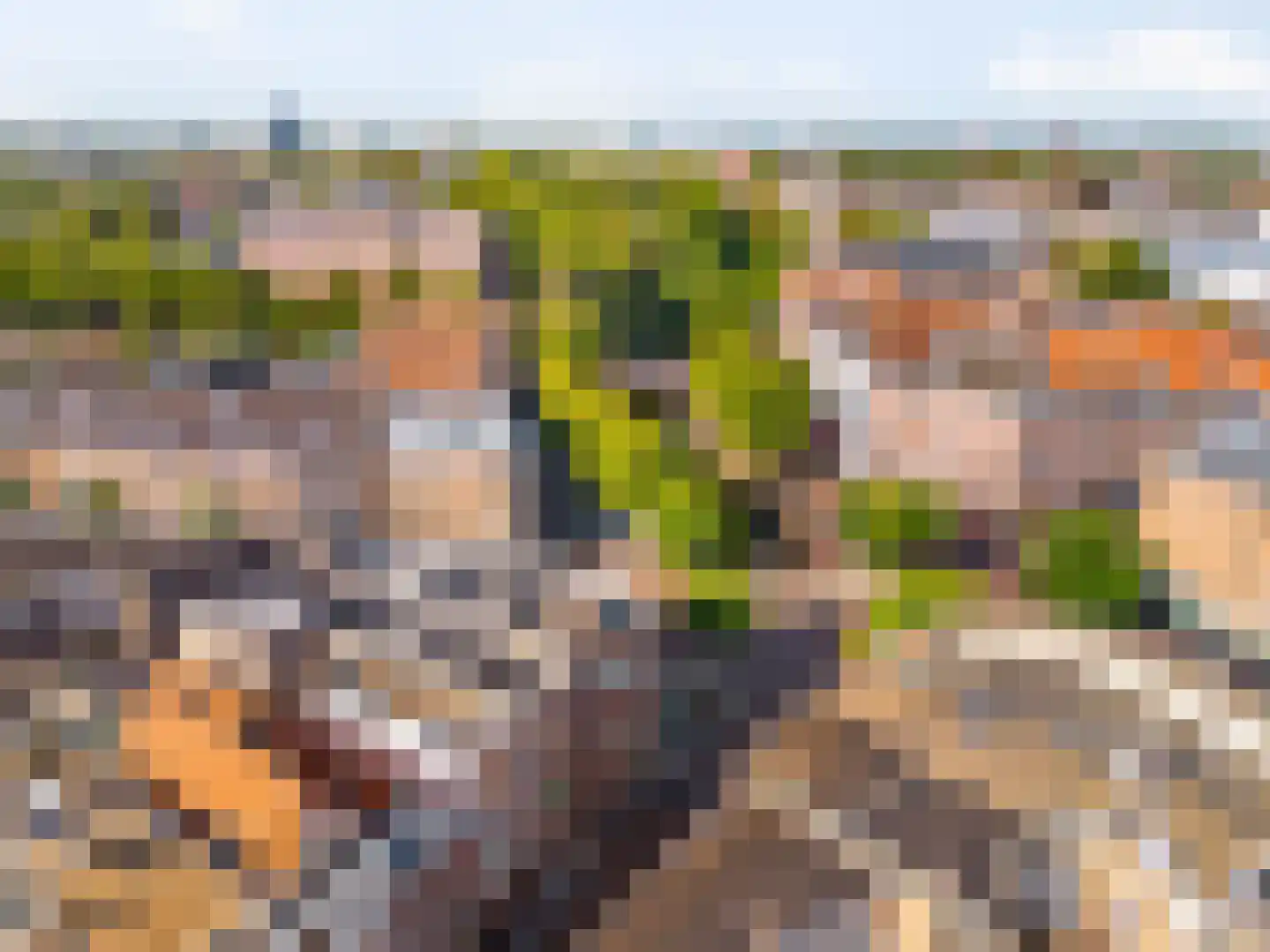 Gangetje 4 A Leiden thumbnail 40