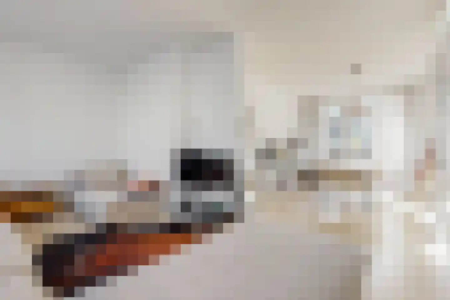 Gangetje 4 A Leiden thumbnail 7