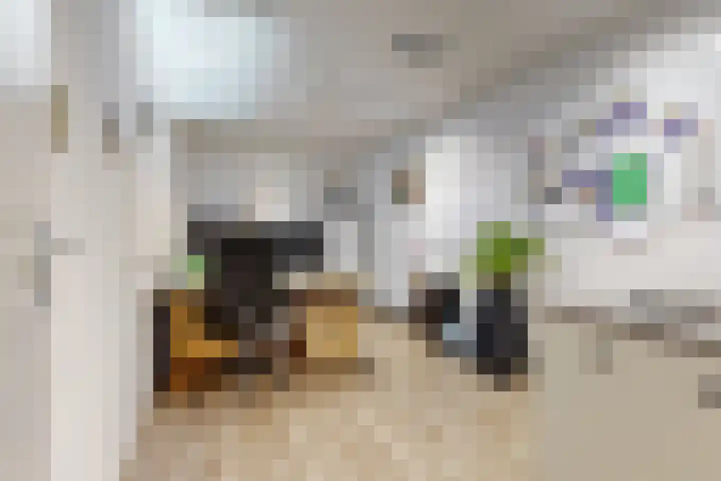 Gangetje 8 A Leiden thumbnail 12