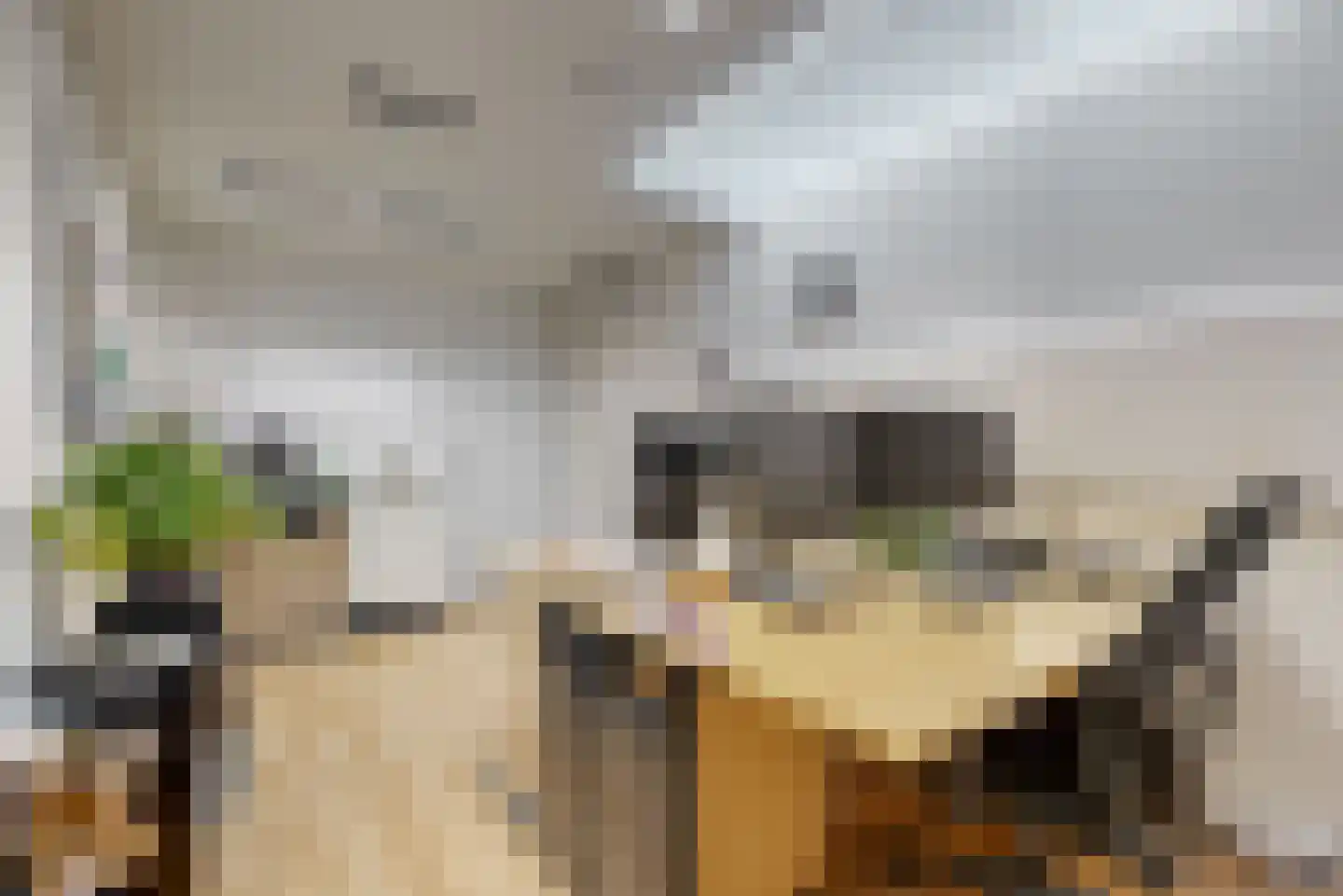 Gangetje 8 A Leiden thumbnail 13
