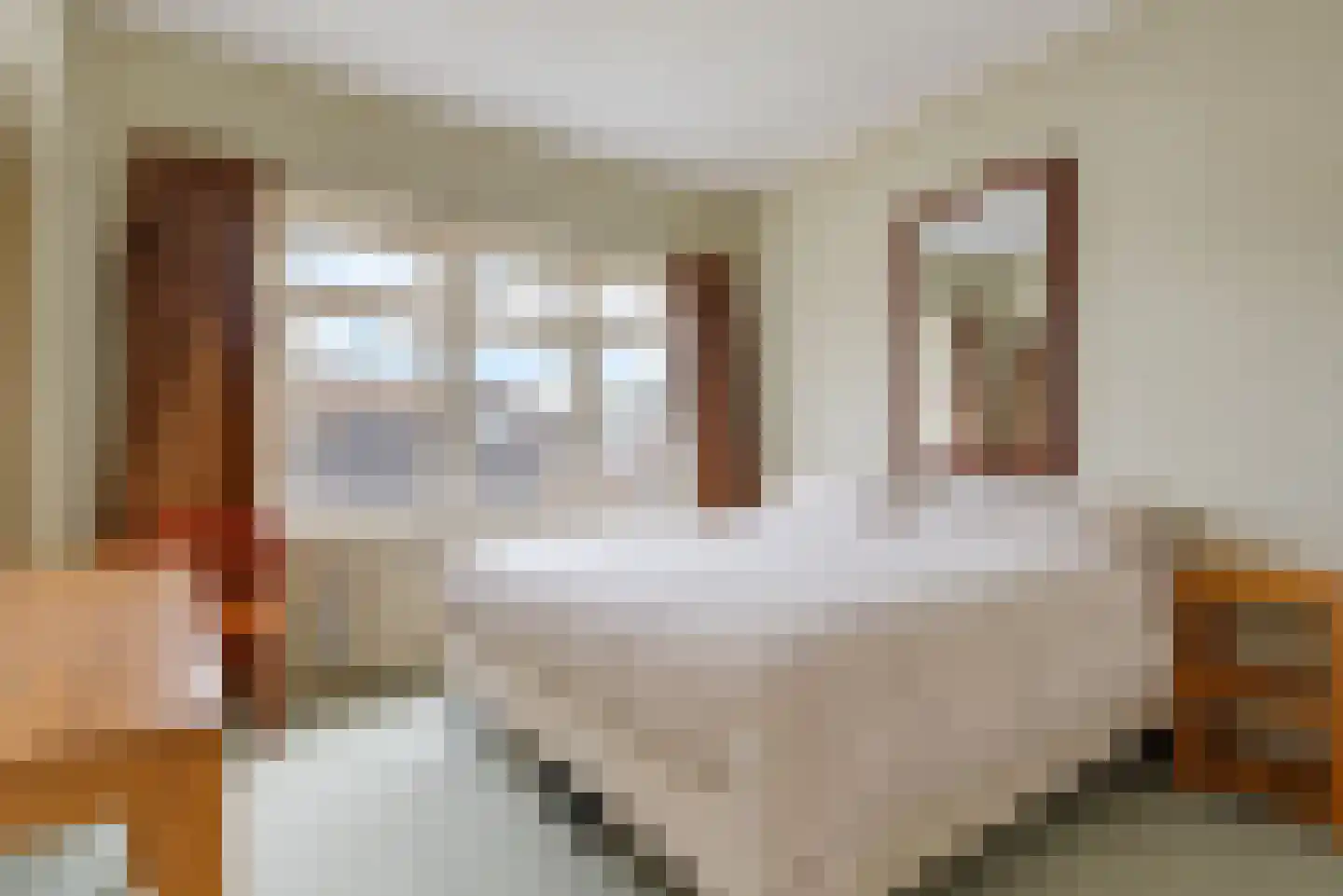 Gangetje 8 A Leiden thumbnail 32