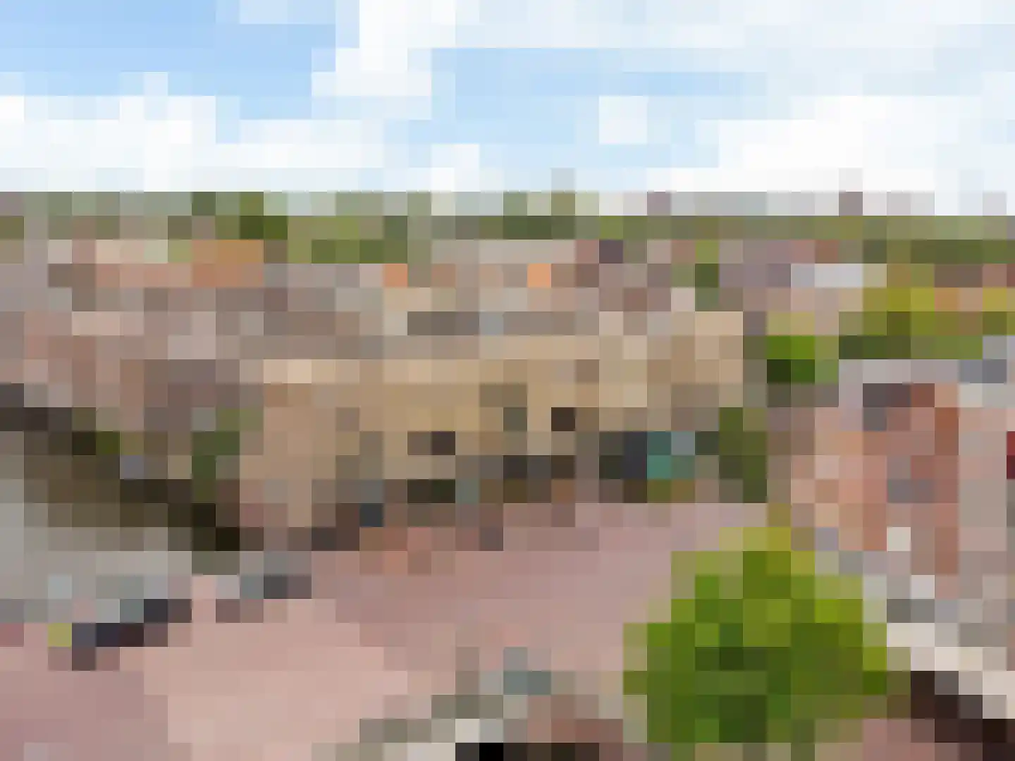 Gangetje 8 A Leiden thumbnail 41