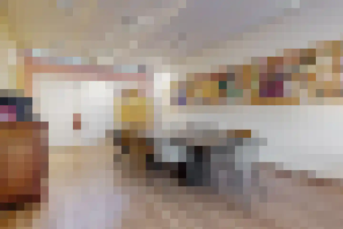 Gangetje 8 A Leiden thumbnail 8