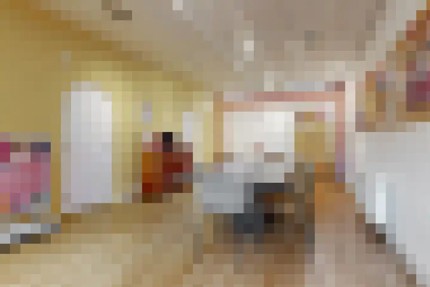 Gangetje 8 A Leiden thumbnail 9