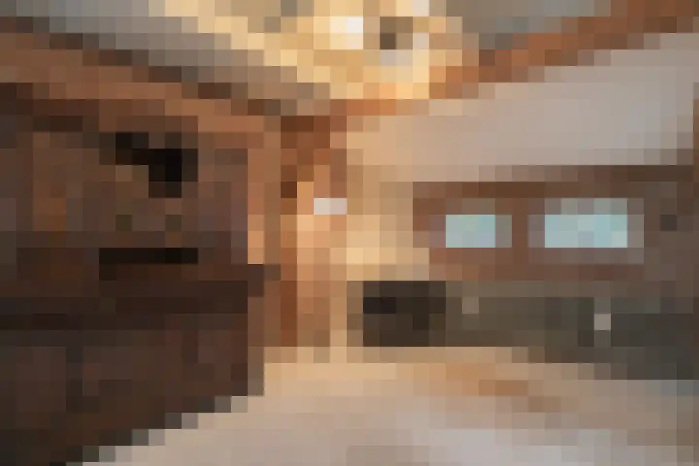 Gangstraat 5 Houwerzijl thumbnail 25