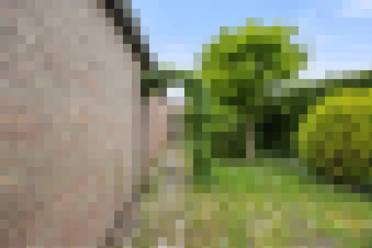 Gangulphusstraat 34 Huissen thumbnail 12