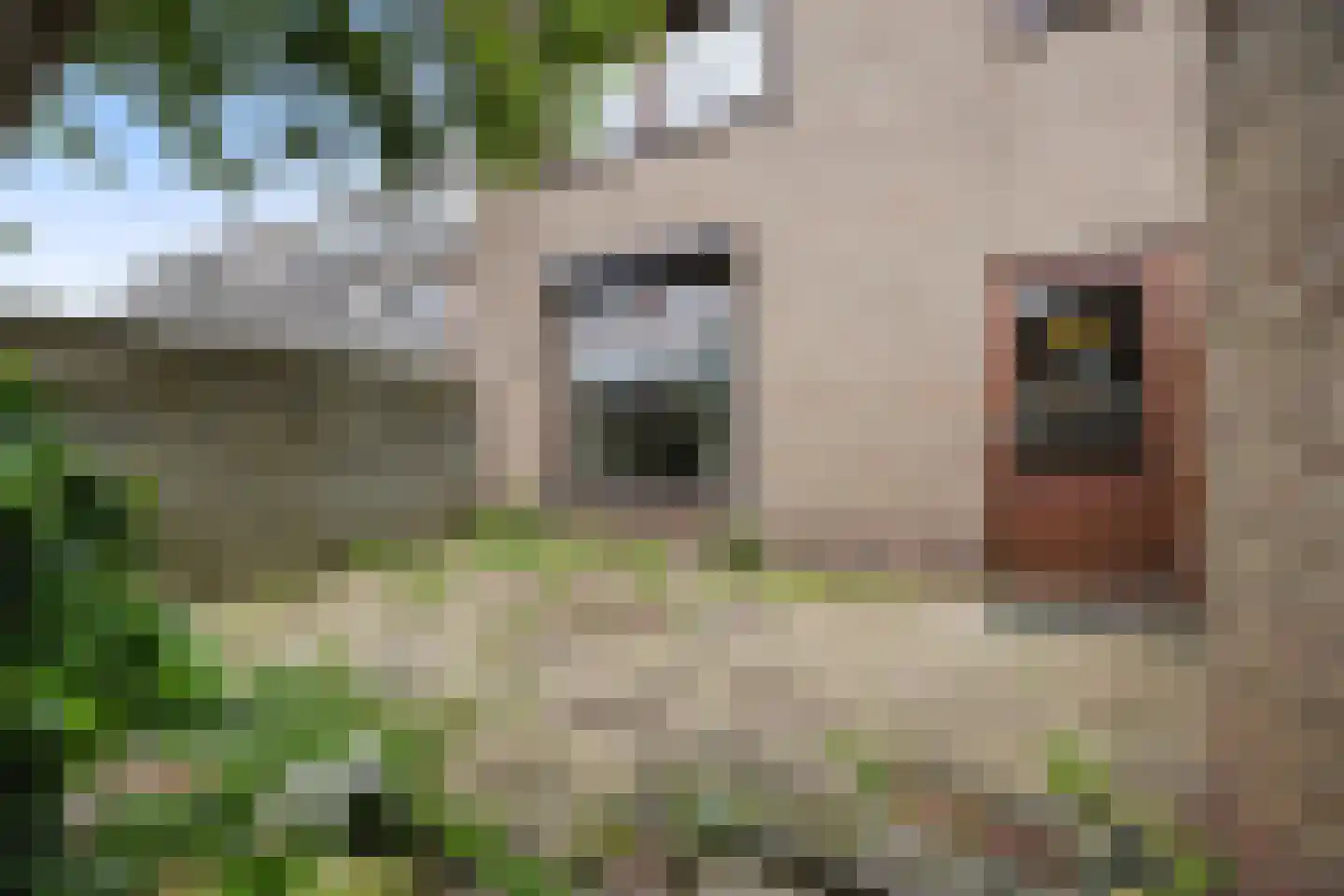 Gangulphusstraat 34 Huissen thumbnail 13