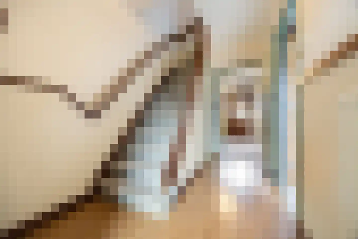 Gangulphusstraat 34 Huissen thumbnail 4