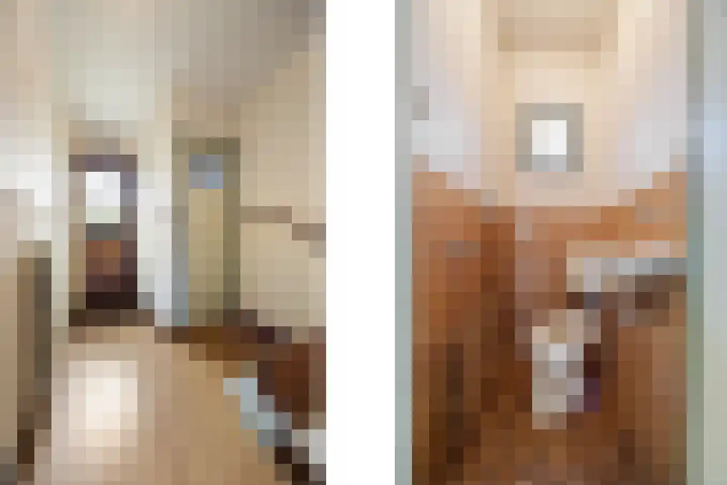 Gangulphusstraat 34 Huissen thumbnail 5