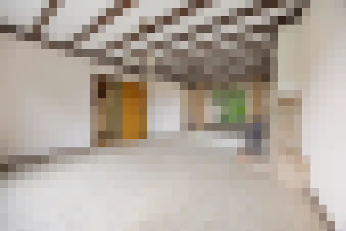Gangulphusstraat 34 Huissen thumbnail 6