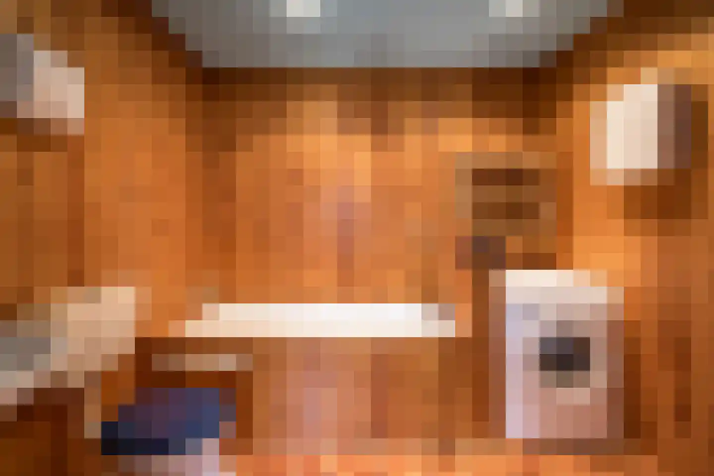 Gangwerf 12 Twisk thumbnail 18
