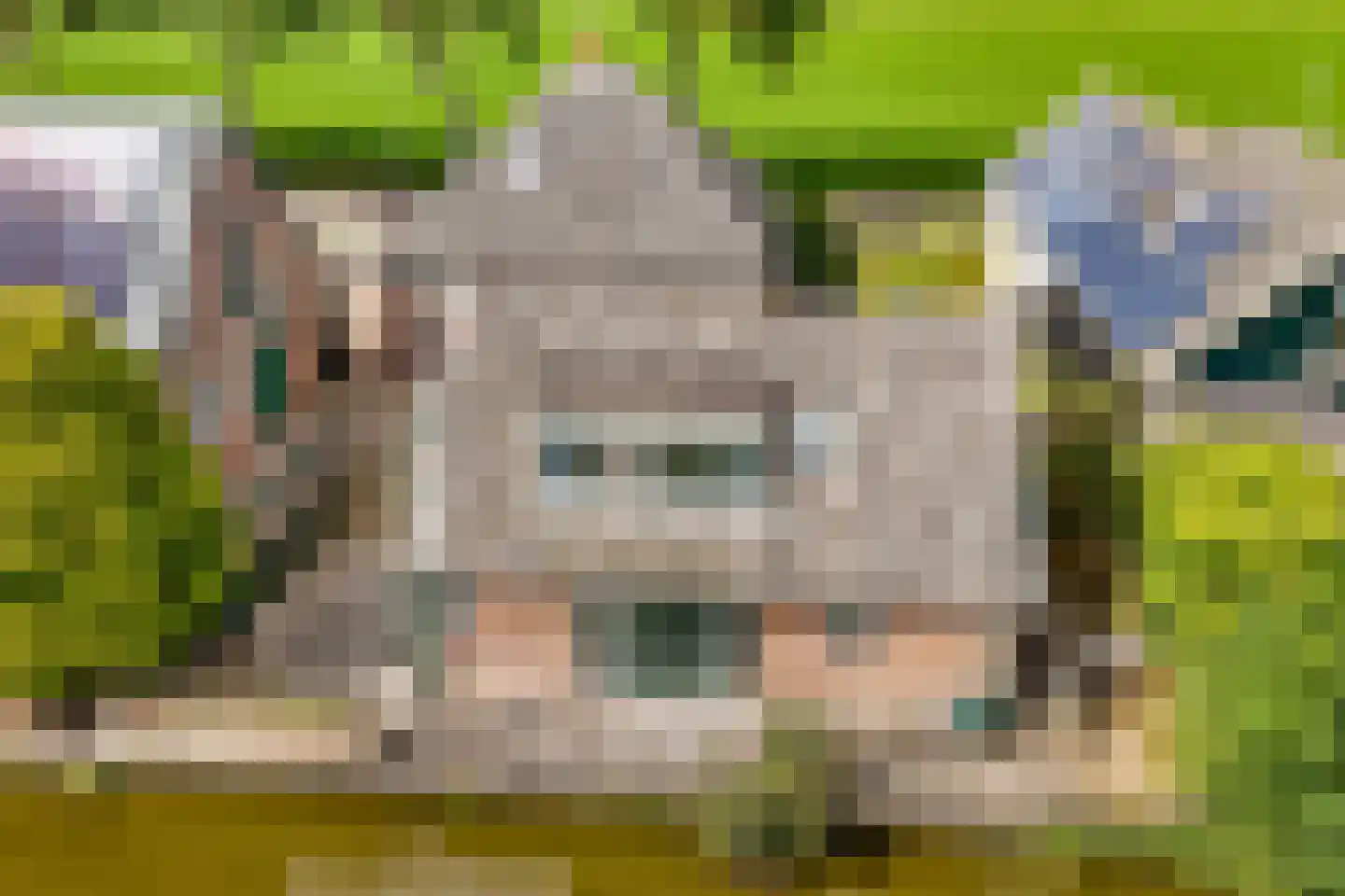 Gangwerf 12 Twisk thumbnail 67