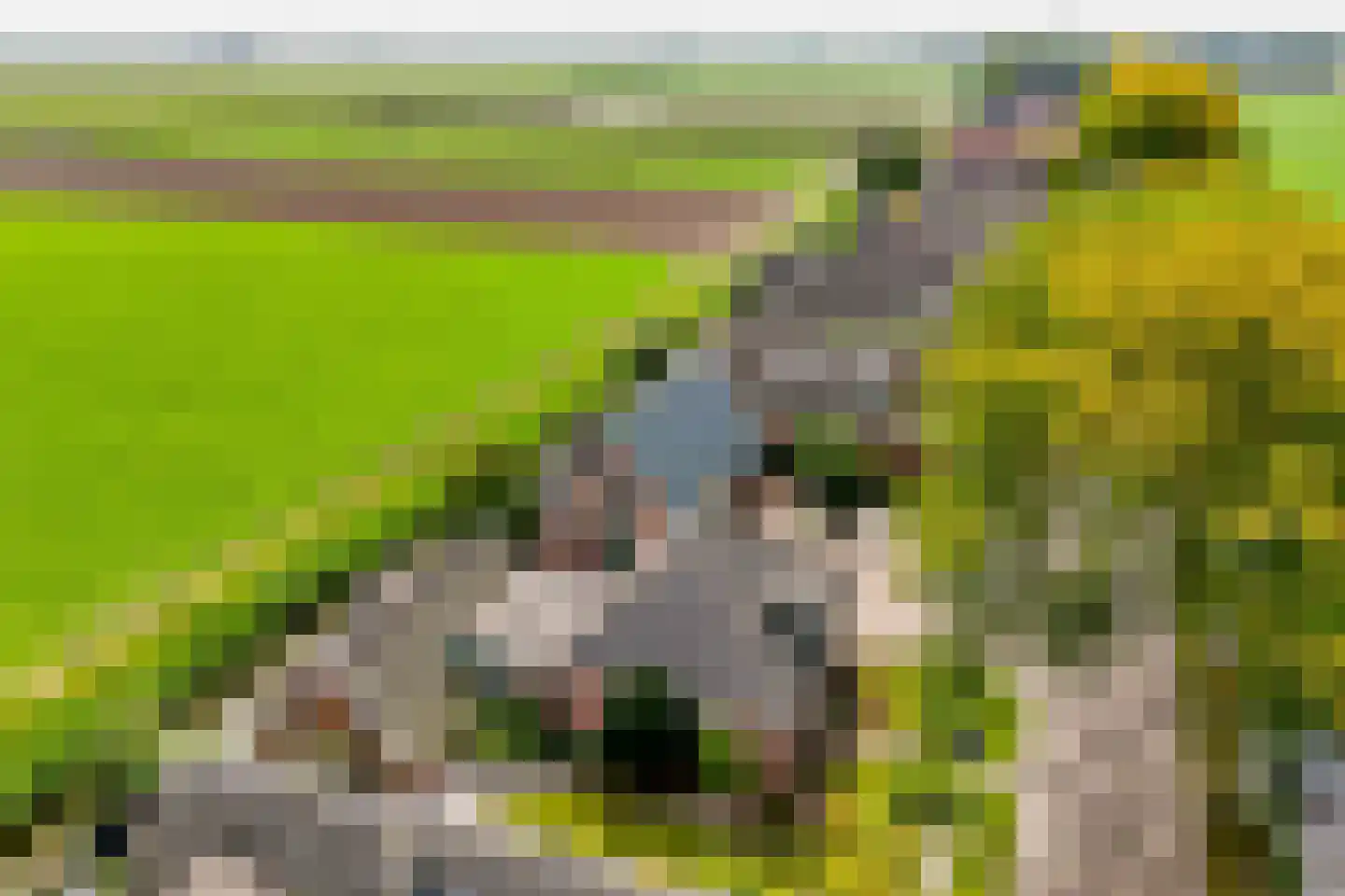 Gangwerf 12 Twisk thumbnail 68
