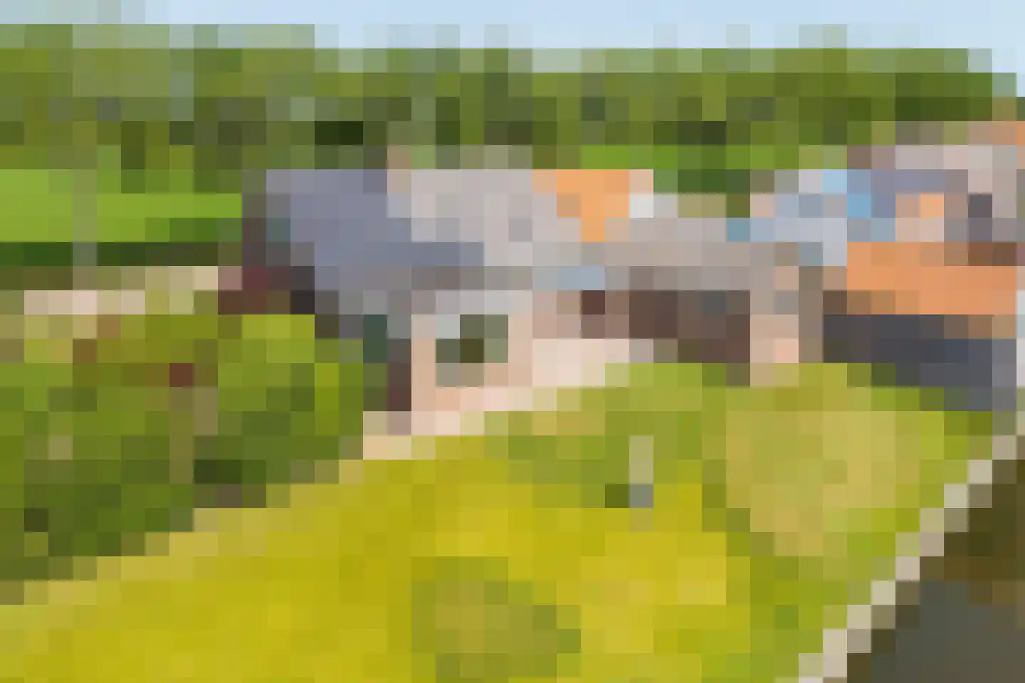 Gangwerf 7 Twisk thumbnail 53