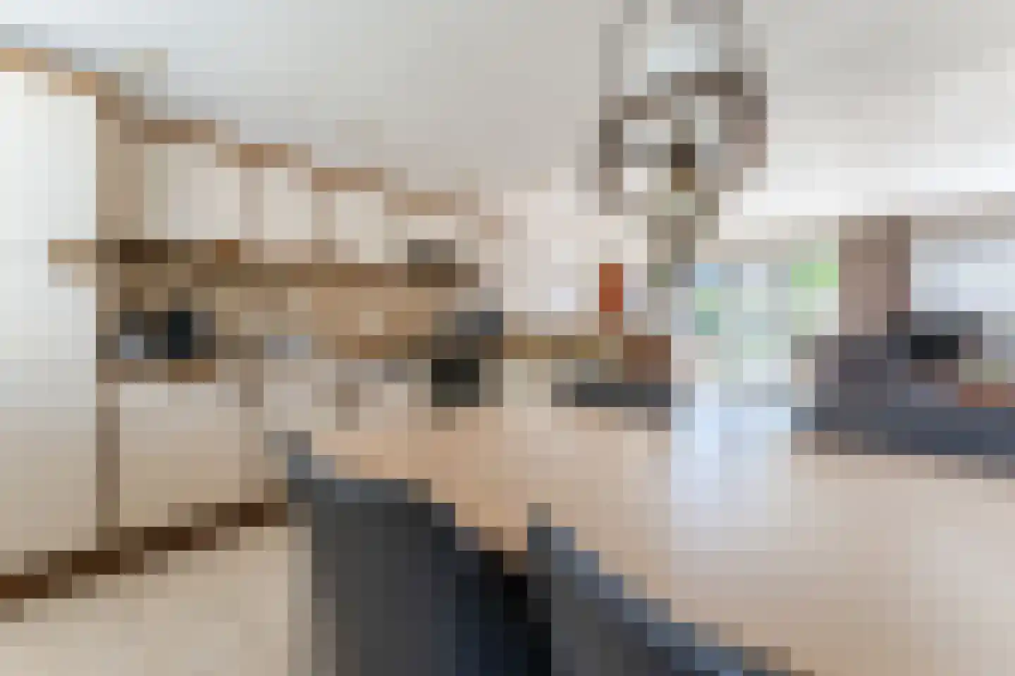 Ganimedesstraat 16 Krommenie thumbnail 17