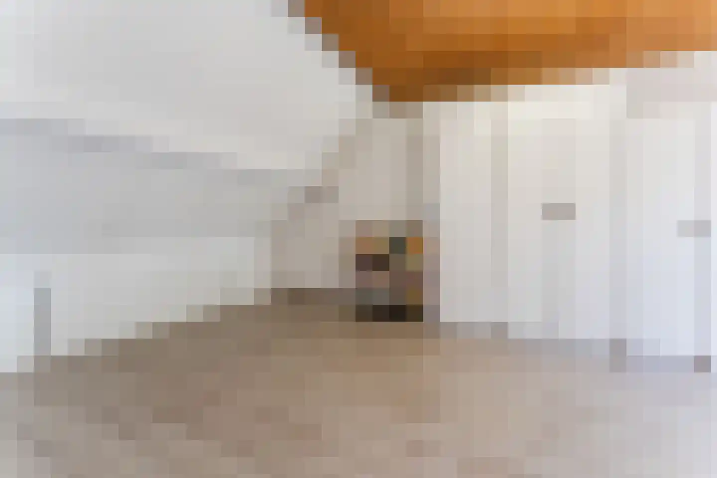 Ganimedesstraat 16 Krommenie thumbnail 34