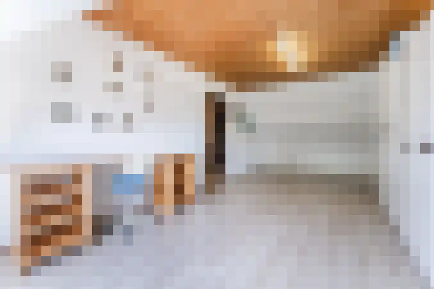 Ganimedesstraat 16 Krommenie thumbnail 36