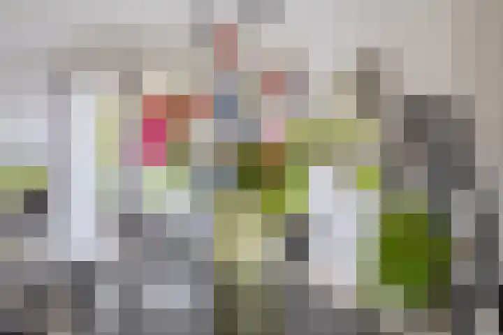 Ganimedesstraat 29 A Krommenie thumbnail 14