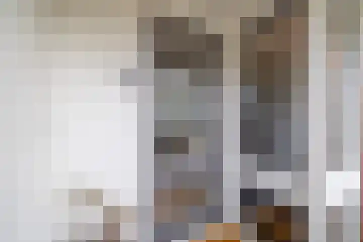 Ganimedesstraat 29 A Krommenie thumbnail 7