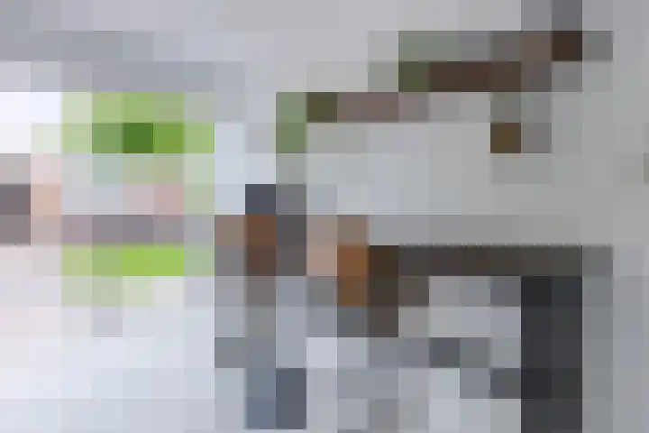 Ganimedesstraat 29 Krommenie thumbnail 13