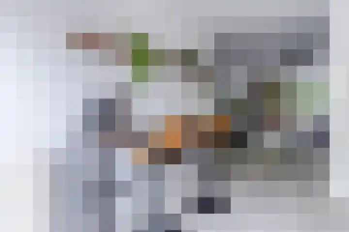 Ganimedesstraat 29 Krommenie thumbnail 14