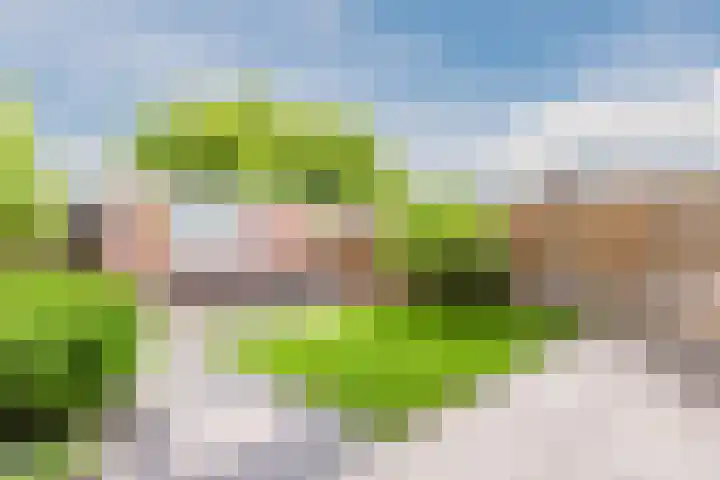 Ganimedesstraat 29 Krommenie thumbnail 20
