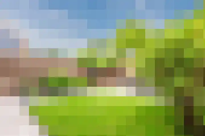 Ganimedesstraat 29 Krommenie thumbnail 21
