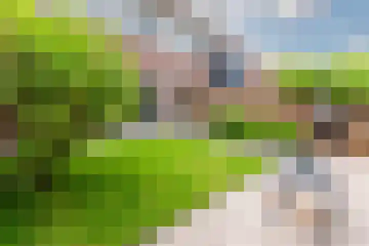 Ganimedesstraat 29 Krommenie thumbnail 22