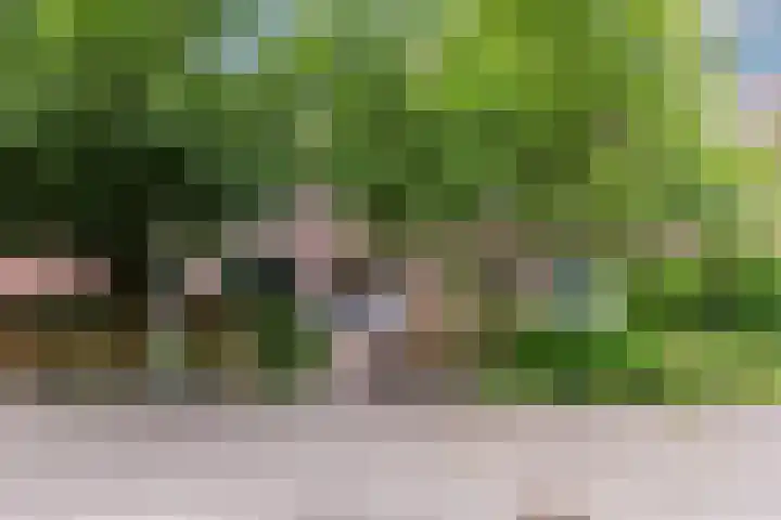 Ganimedesstraat 29 Krommenie thumbnail 24