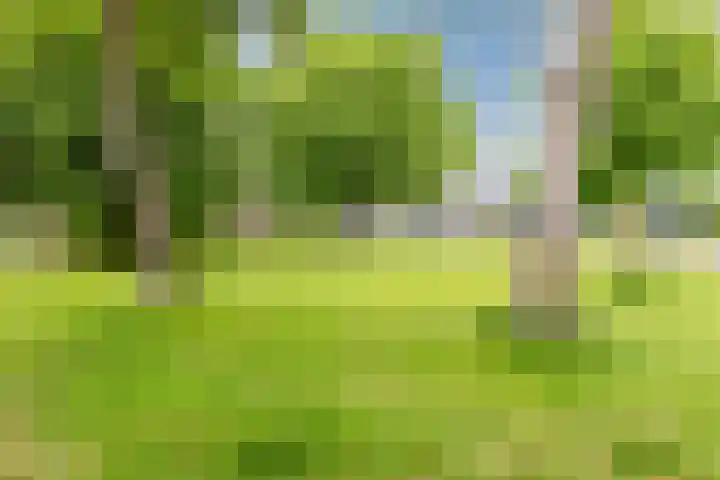 Ganimedesstraat 29 Krommenie thumbnail 26