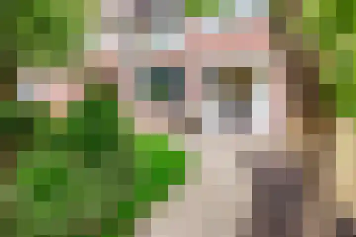 Ganimedesstraat 29 Krommenie thumbnail 4