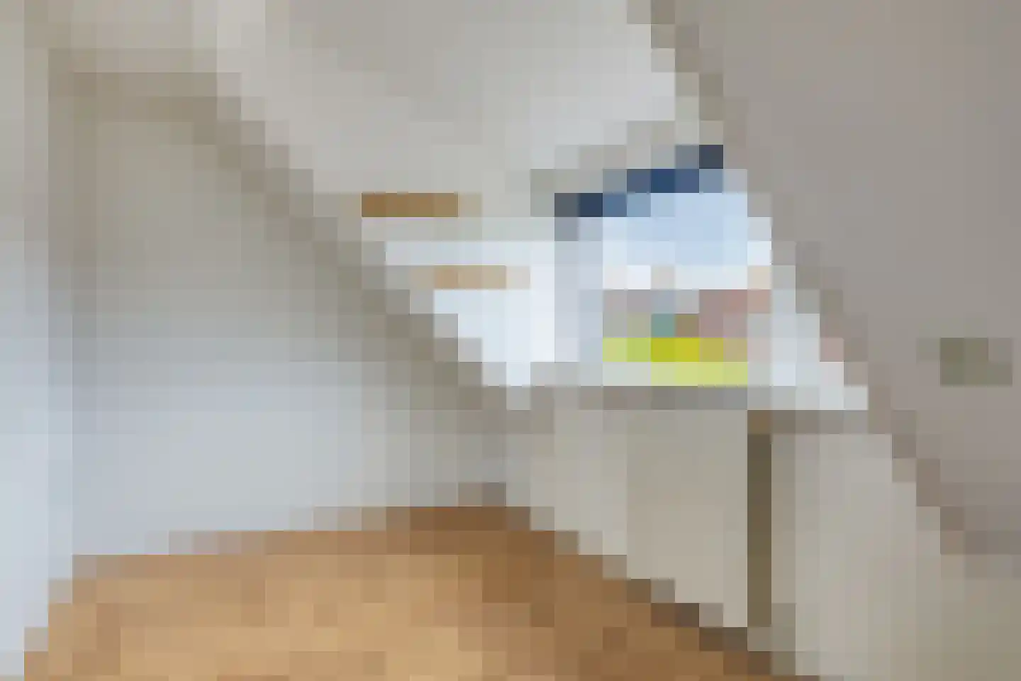 Ganimedesstraat 3 A Krommenie thumbnail 19